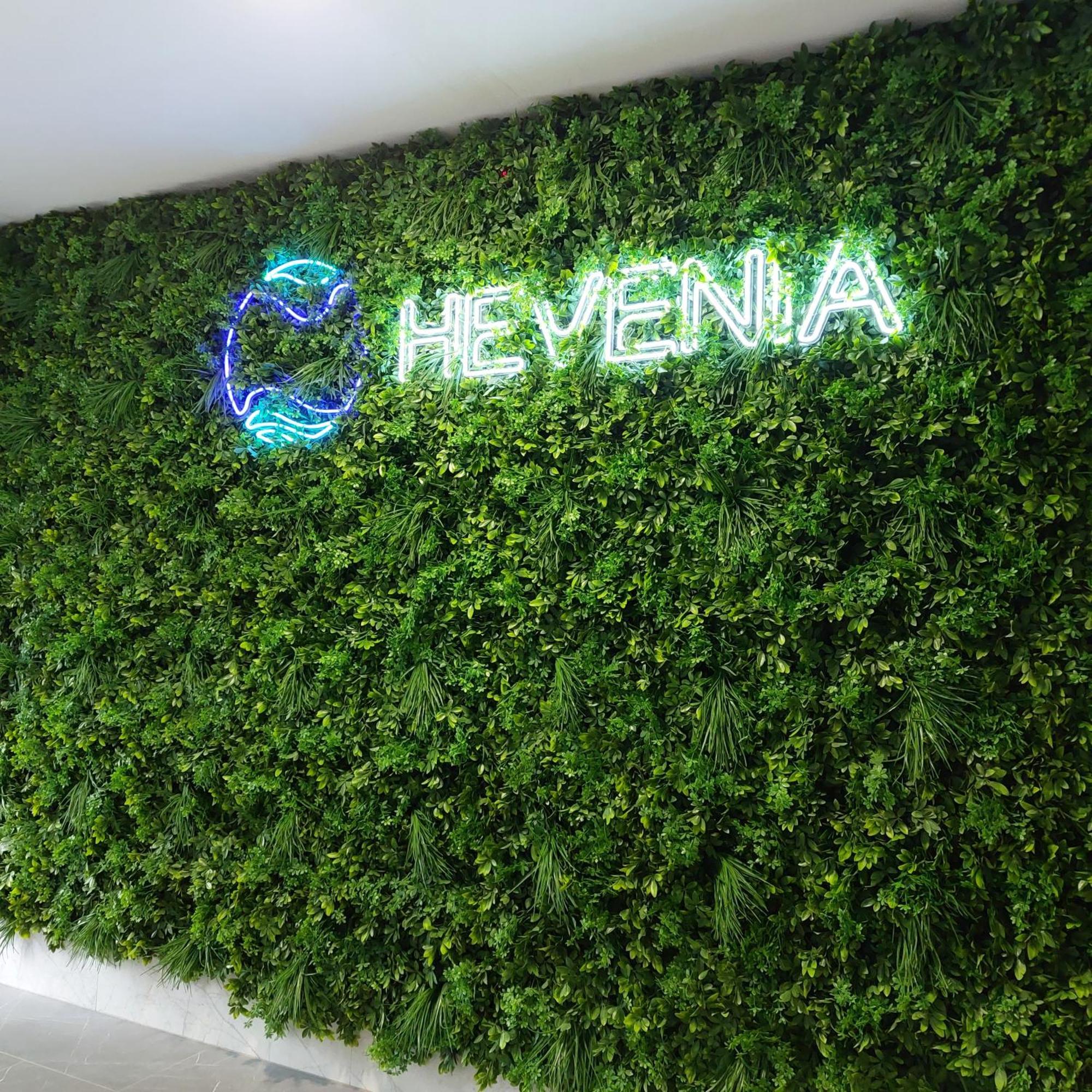 Hevenia Nr 8 Apartment